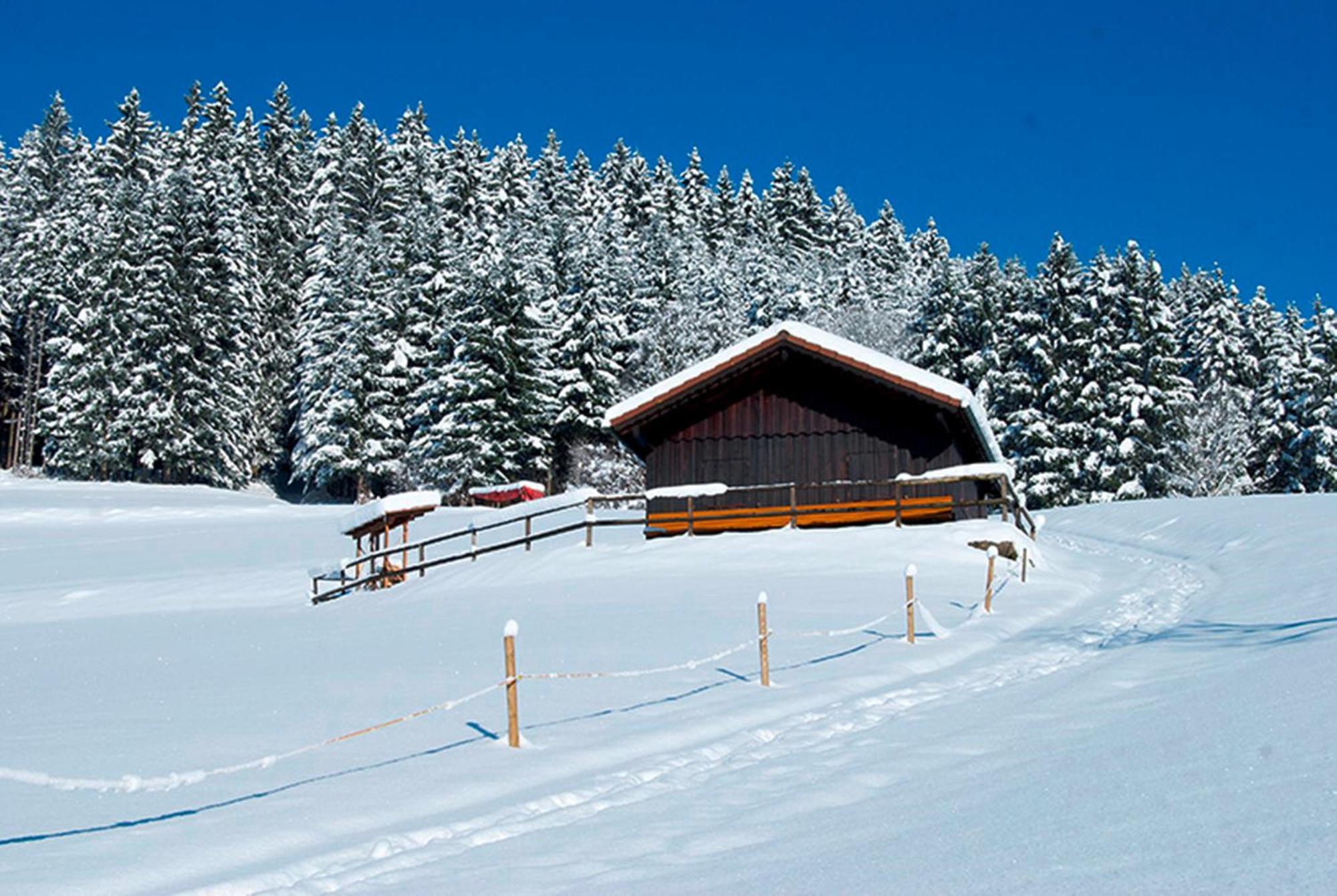 Landhaus Sackmann Baiersbronn Buitenkant foto